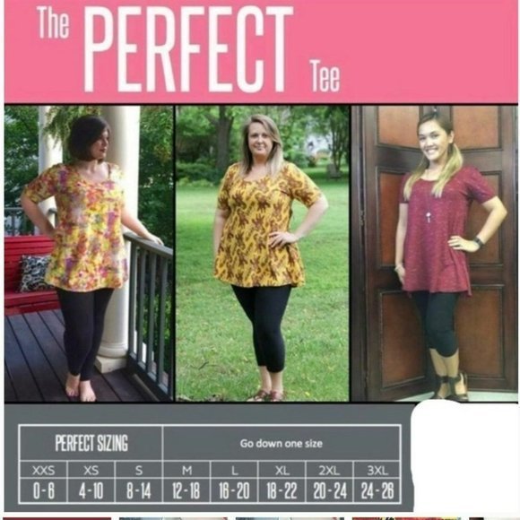 LuLaRoe Perfect T‎ Bundle - Picture 10 of 11